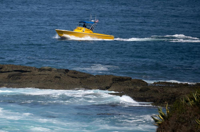 Drowning Deaths Surge: Essential Water Safety Tips for Swimmers