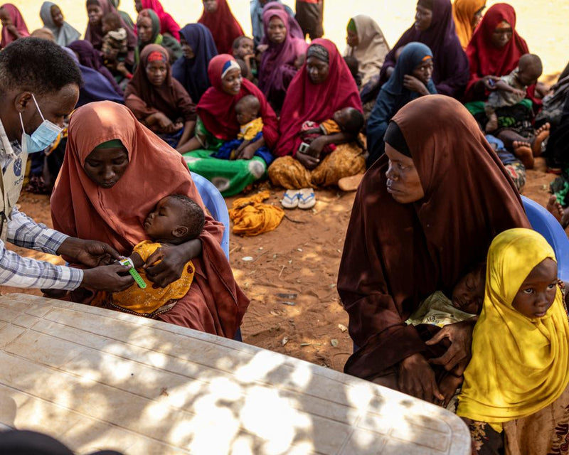 Oil Price Shock Wipes Out Aid for 1.5 Million Children