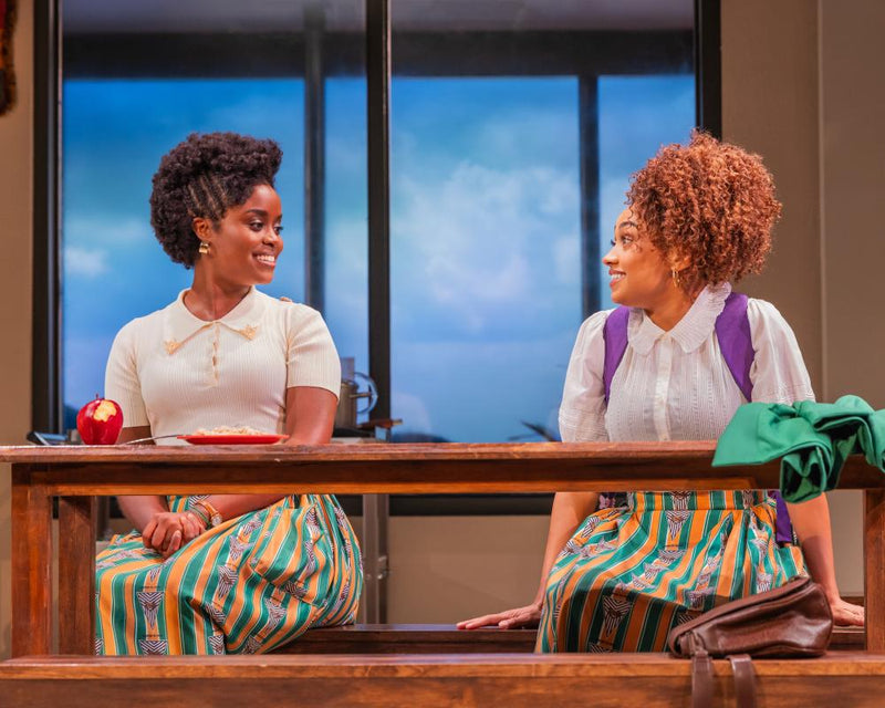 School Girls Broadway Review: African Mean Girls Play Triumphs