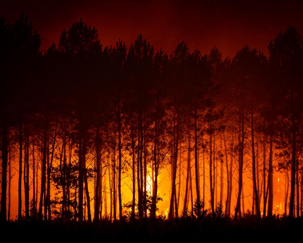France and Spain Battle Wildfires as Heatwave Looms