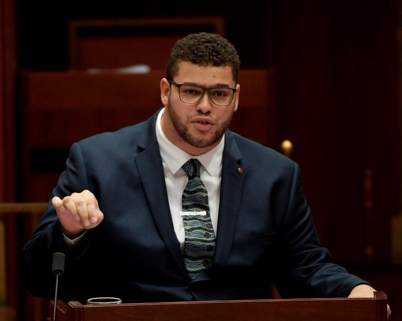 Greens Senator Jordon Steele-John Takes Leave Amid Investigation