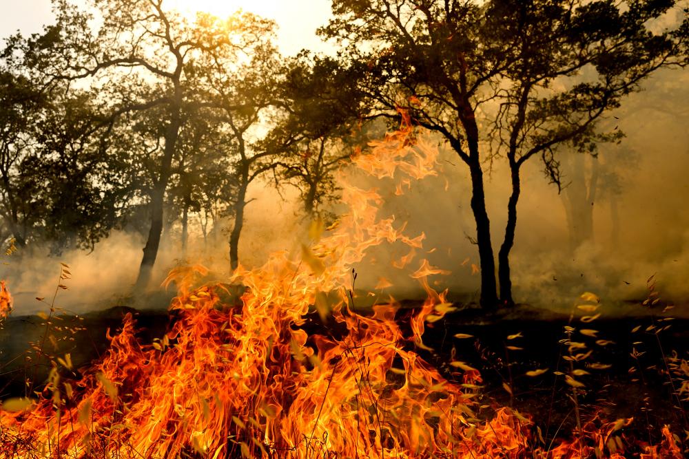 California Wildfire Sparked by Chainsaw Kills One, Suspect