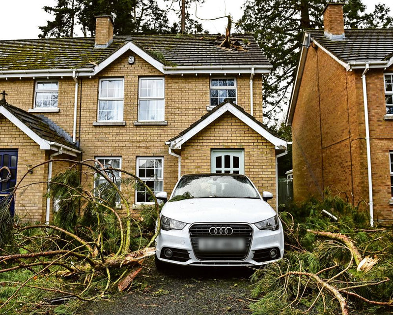 How to Storm-Proof Your Home: Roof Tiles to Garden Fences