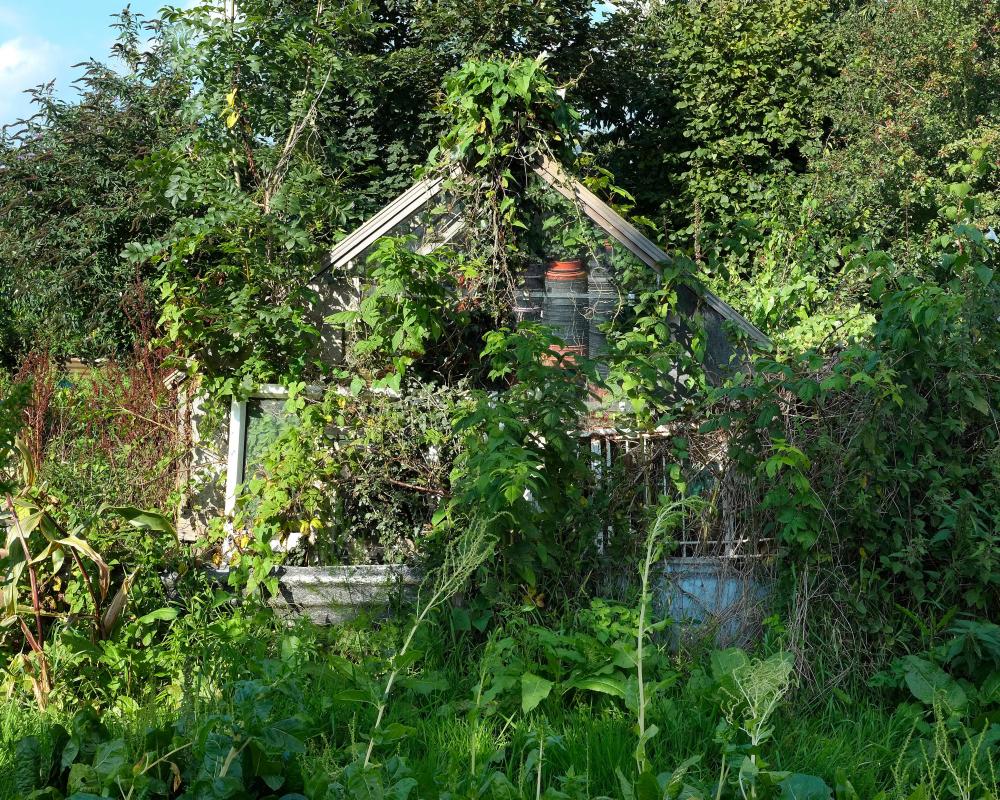 Gardeners' World Reboot: Why Real British Gardens Need Honesty