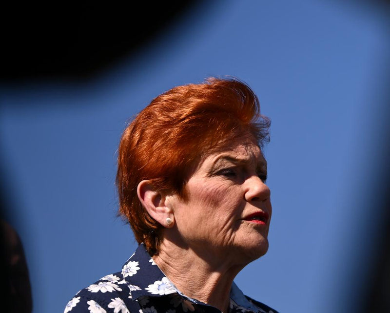 Pauline Hanson Immigration Cuts: Billions in Costs for Australia