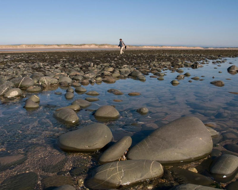 Devon Beach Natural Flood Defences: The Pebble Ridge