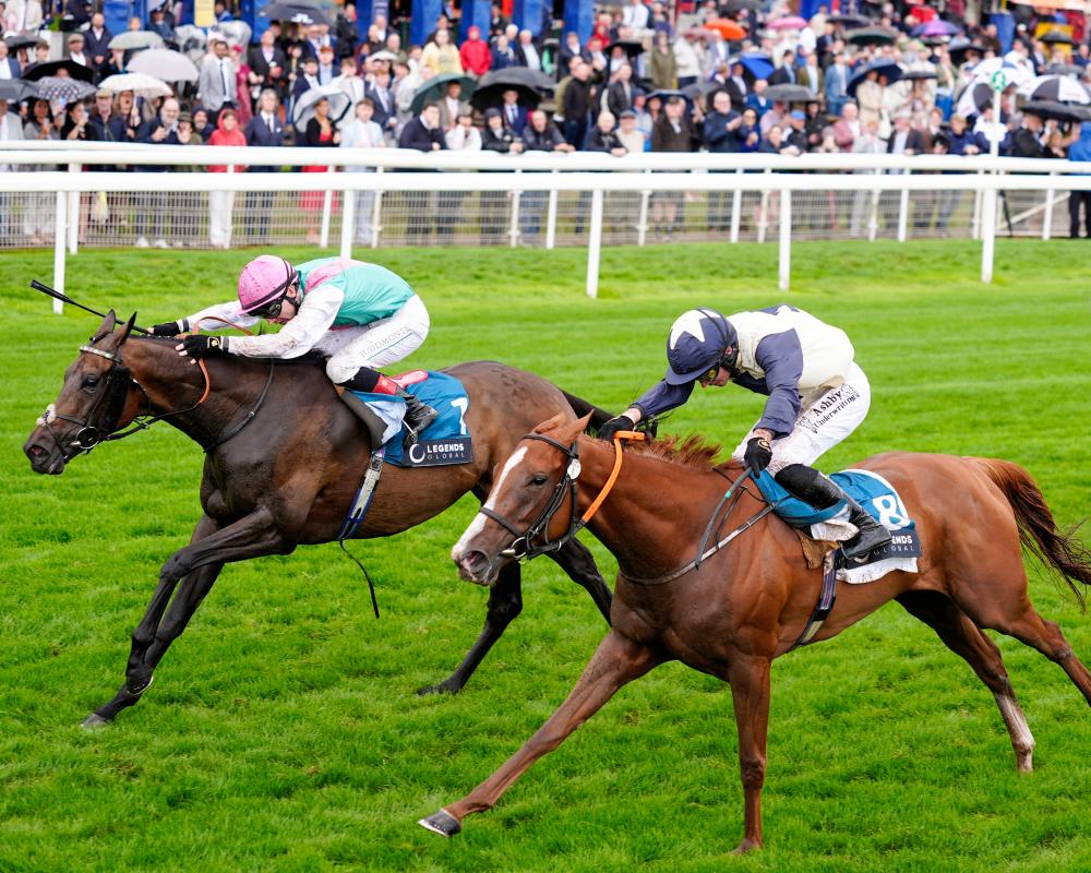 Kalpana Wins Yorkshire Oaks in Thrilling Ebor Festival Finish
