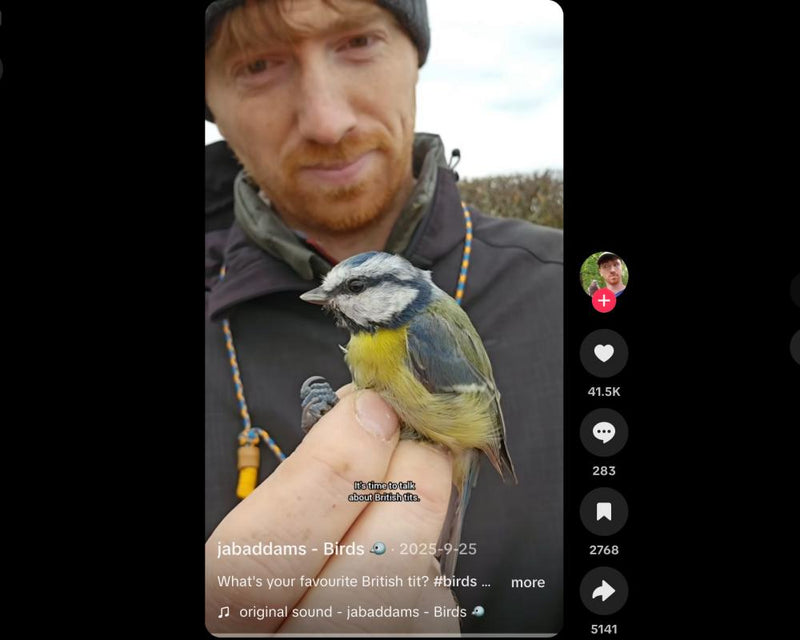 Gen Z Flocks to BirdTok: Birding Trend Takes Flight