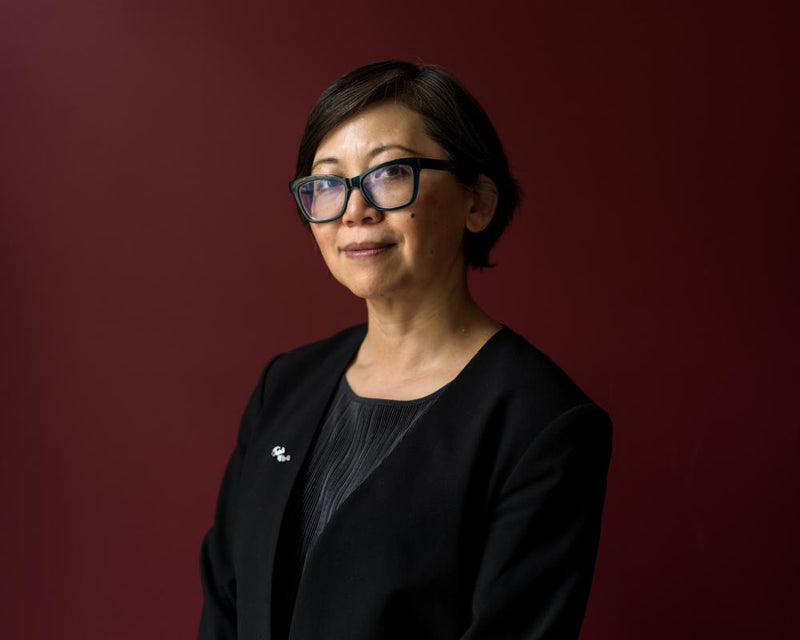 Yiyun Li's Music Against the Night: A Virtuosic Art Novel Review