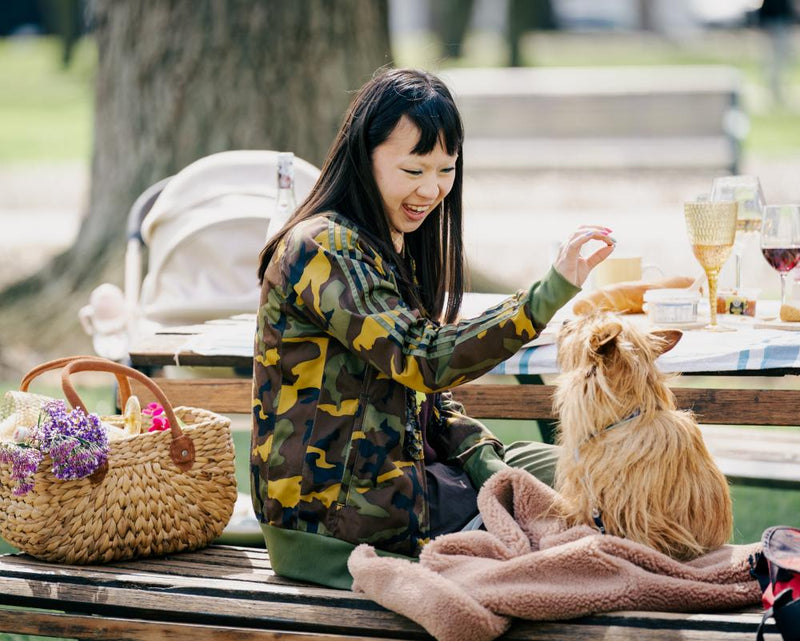Dog Park Review: A Delightful Sitcom for Colin from Accounts Fans