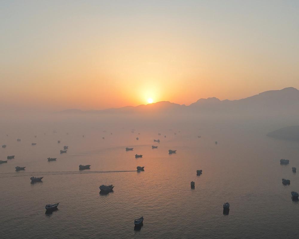 Iran and Oman Agree on Hormuz Route: Key Shipping Update