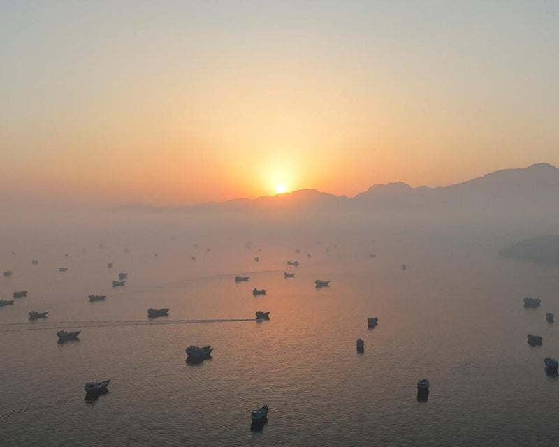 Iran and Oman Agree on Hormuz Route: Key Shipping Update