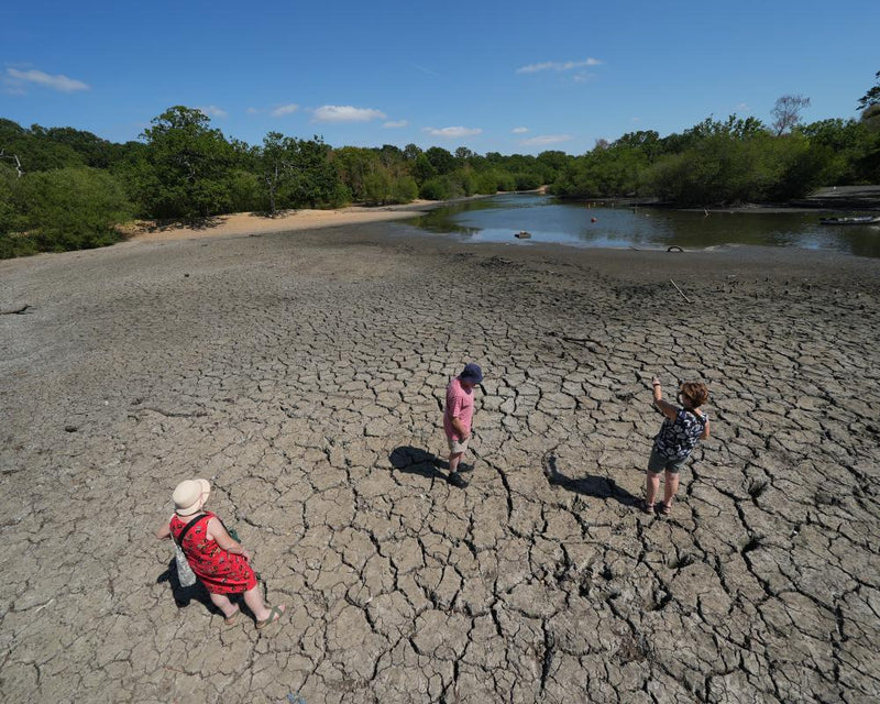 UK Heatwave Economic Impact: £4.4bn Cost and Climate Action
