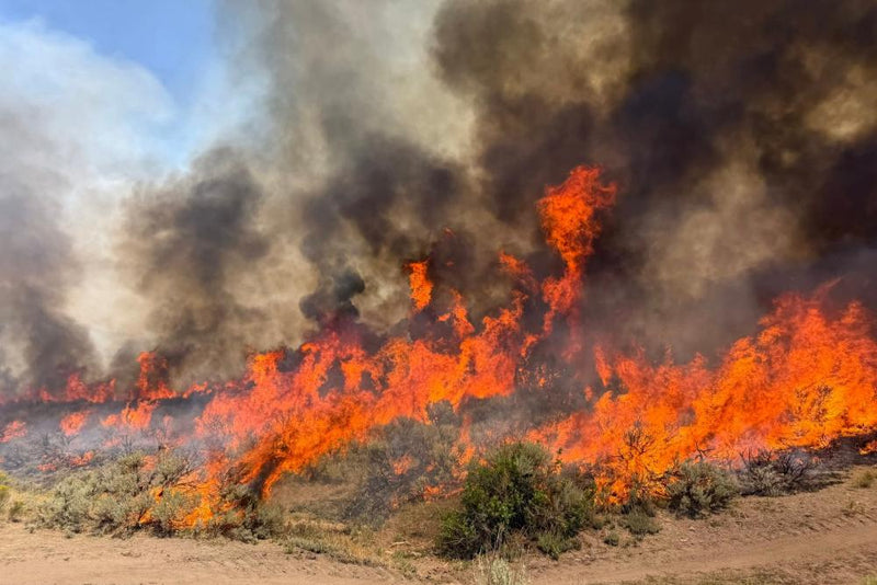 Utah Wildfire Helicopter Crash: Two Onboard, Rescue Ongoing