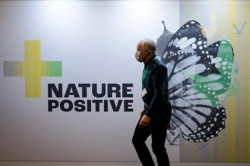 Cop17 Nature Summit: Key Targets and Progress Assessment