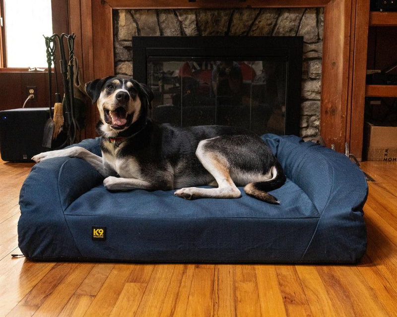 Best Dog Beds 2025: Top 7 Tested and Approved Picks