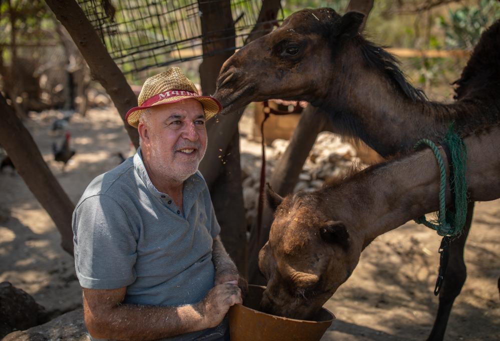 Lebanon War Hero Saves Animals: Houssein Hamze Shelter Story