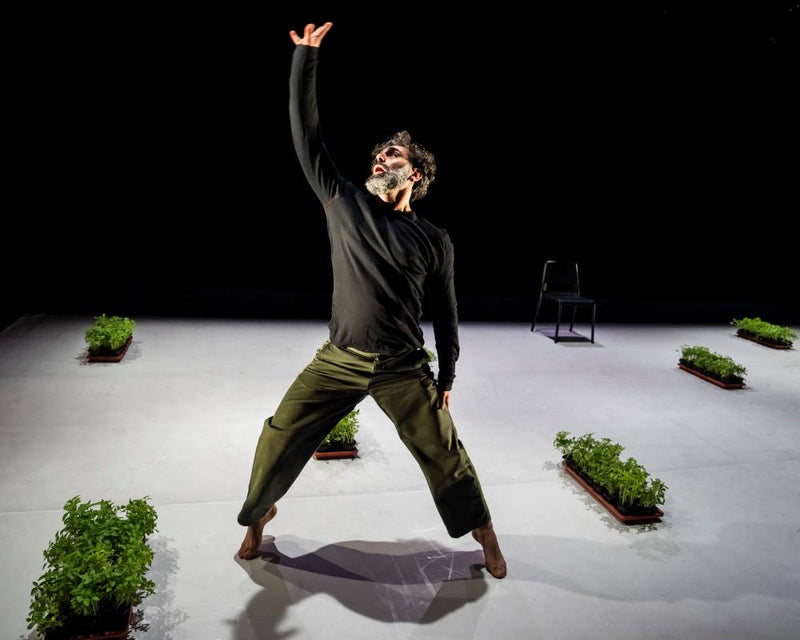 Dance Is Not for Us Review: Desire and Defiance on Stage