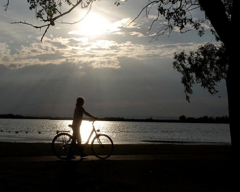 Austria Heat Records and Typhoon Dolphin: Global Weather Extremes