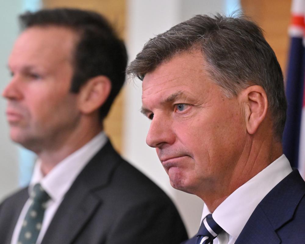 Coalition Backs One Nation Ban on Terrorist-Linked Australians