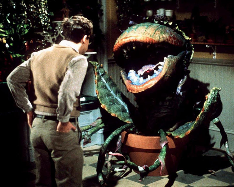 Why Little Shop of Horrors Is the Ultimate Feelgood Movie