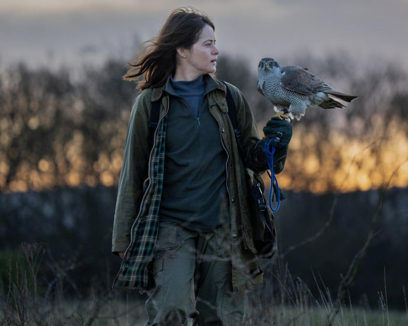 Best Films to Watch on TV This Week: Hawk to Doctor Strange