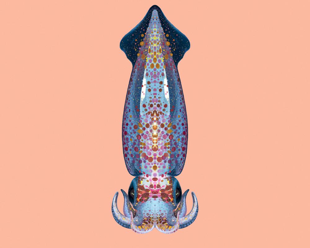 Neon Flying Squid: Ocean's Gliding Cephalopod Phenomenon