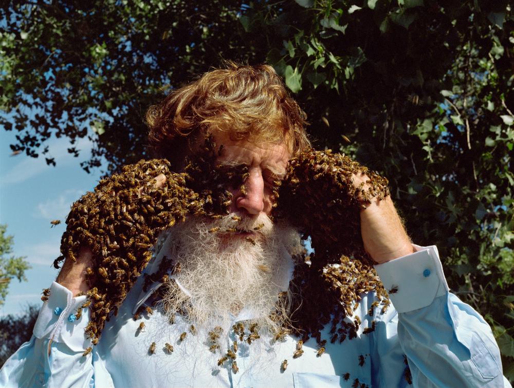 Holly Lynton's Bare Handed Beekeeper Photo: A Closer Look