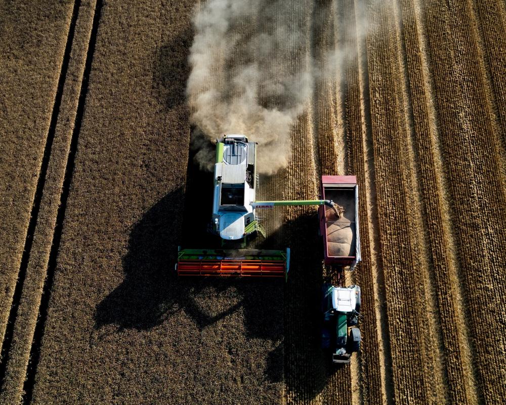 Global Food Prices Hit Three-Year High as Crop Costs Surge