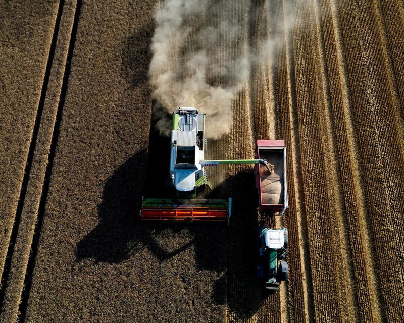 Global Food Prices Hit Three-Year High as Crop Costs Surge