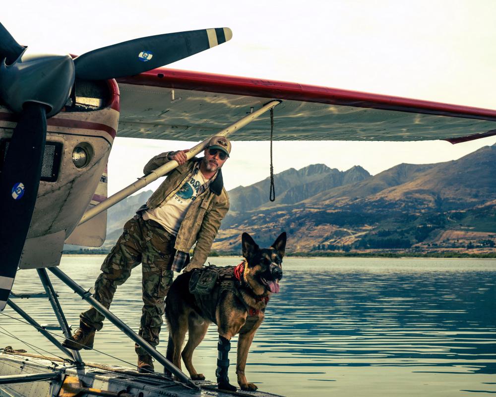 Why Dogs Are Dying Less in Movies: The 80% Decline Explained