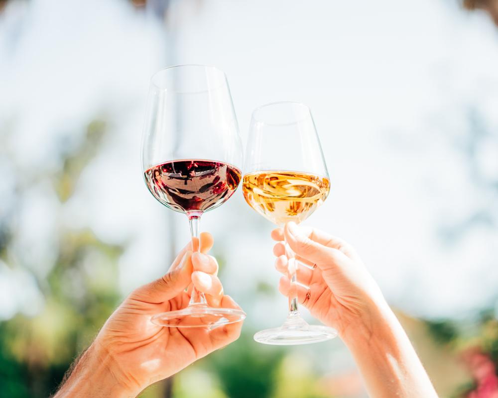Côtes Catalanes Wine: A Renegade Spirit in Every Sip