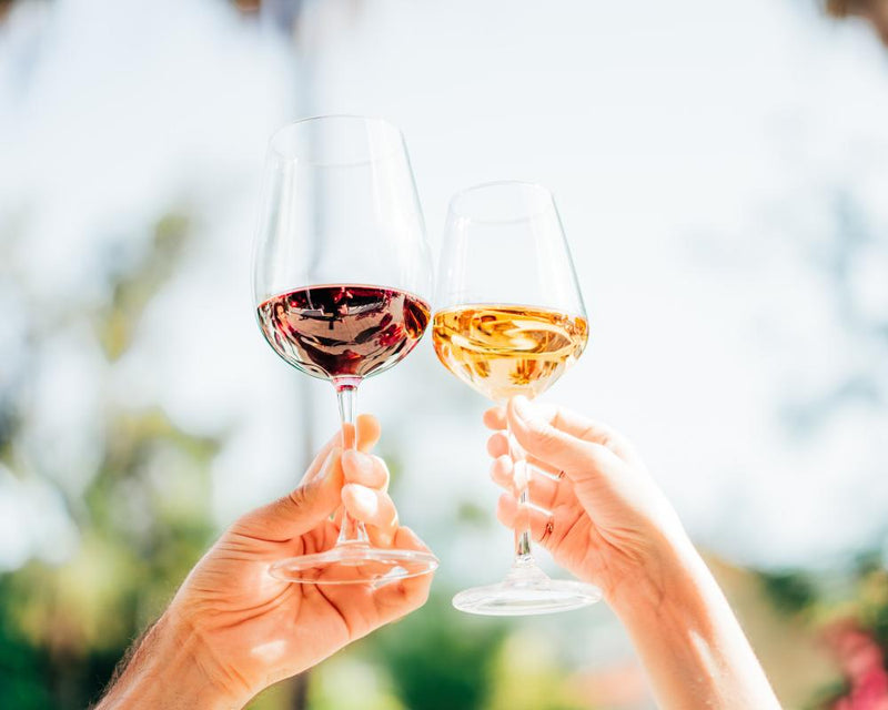 Côtes Catalanes Wine: A Renegade Spirit in Every Sip