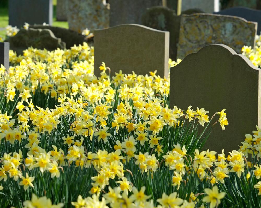 How to Support the Bereaved: Simple Words of Comfort That Help