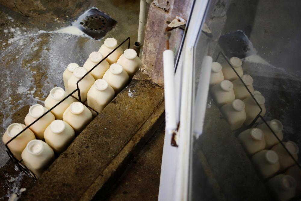 Raw Milk Ban Urged by Pediatricians as Popularity Soars