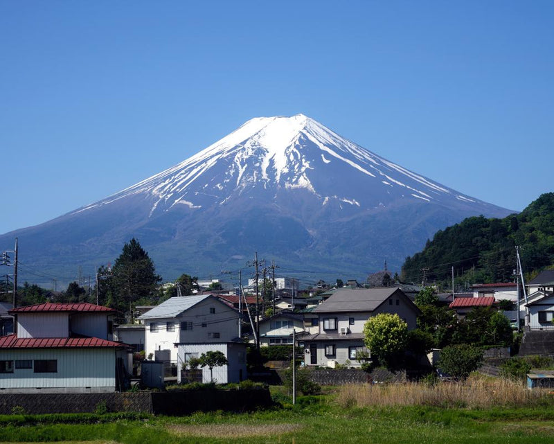 Mount Fuji Father Leaves Son Alone: Hiking Safety Warning