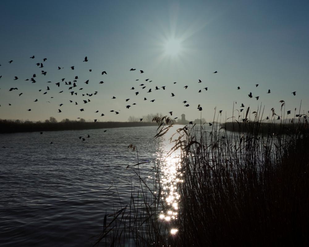 Norfolk Broads Housing Levy Sparks Cash to Trash Criticism