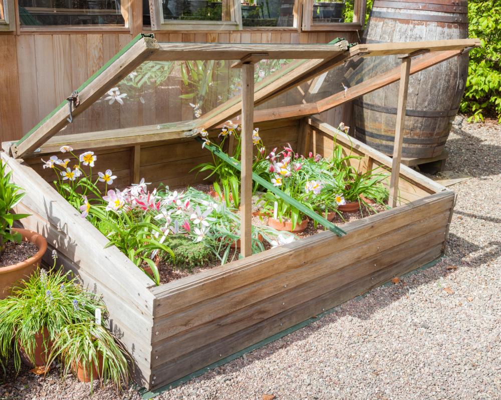 Coldframe vs Greenhouse: Best Garden Protection for Plants