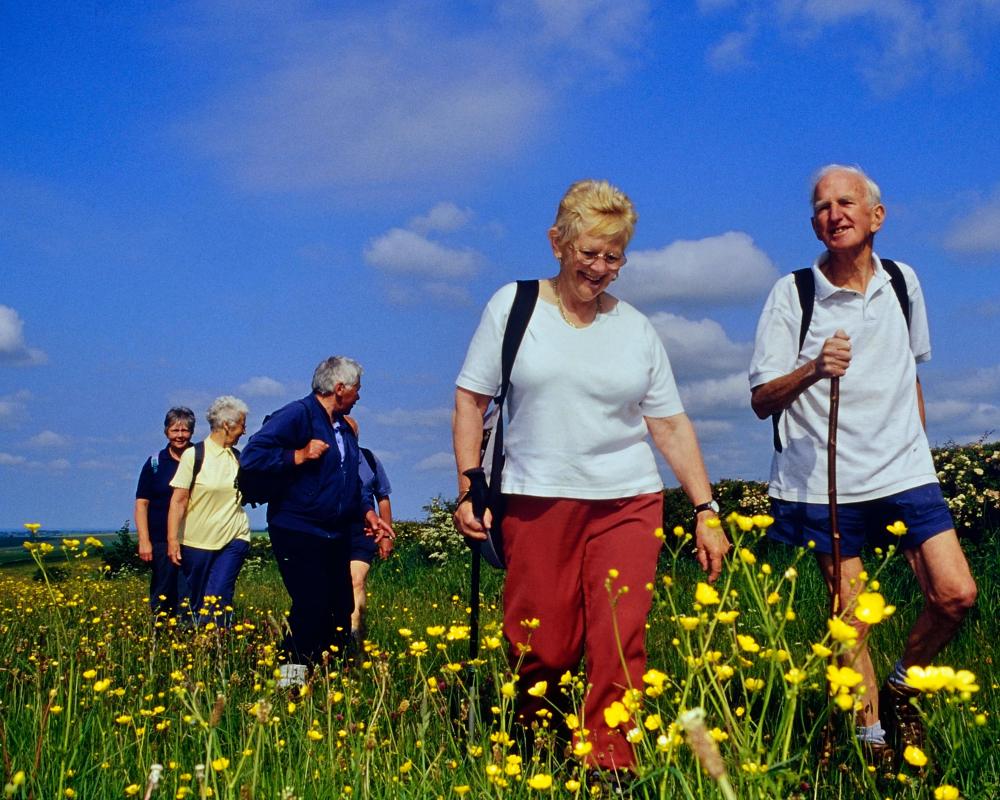 Midlife Health Habits Can Delay Dementia by 13 Years