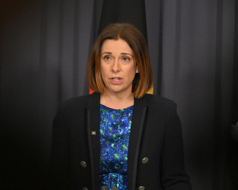 Australia's Social Media Algorithm Crackdown Faces Opposition