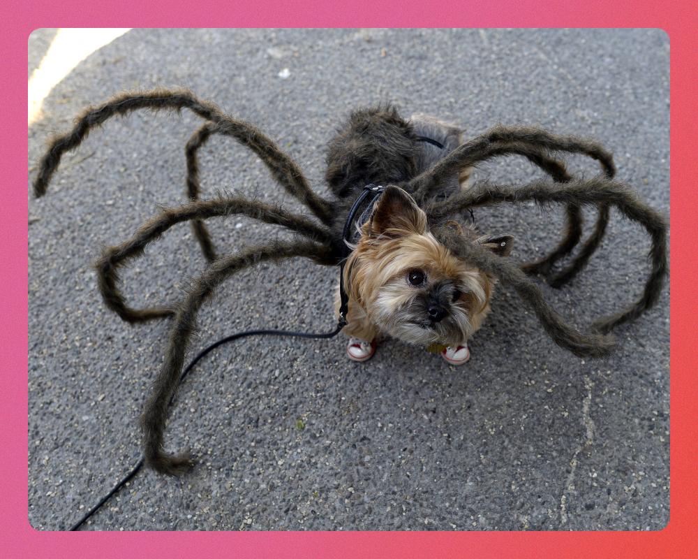 DIY Halloween Costumes: Creative Ideas for Adults and Kids
