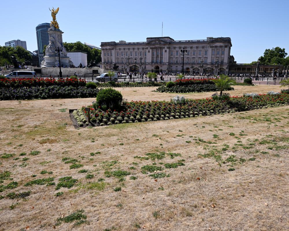 Driest July on Record Hits England and Wales