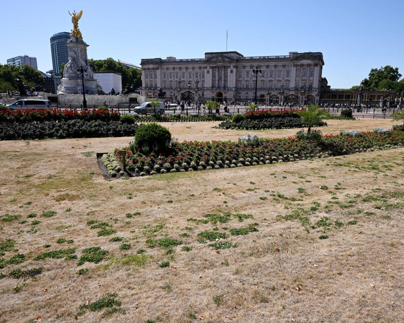Driest July on Record Hits England and Wales