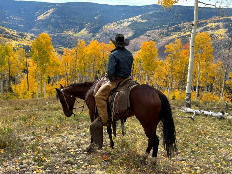 Modern Cowboys on a New Mission in the American West