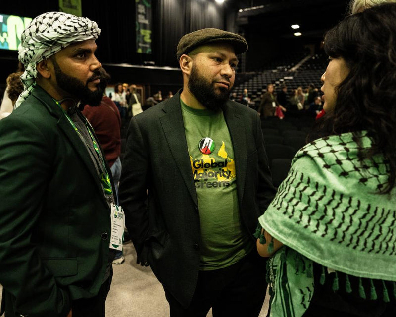 Green Party Faces Global Backlash Over Zionism Racism Vote
