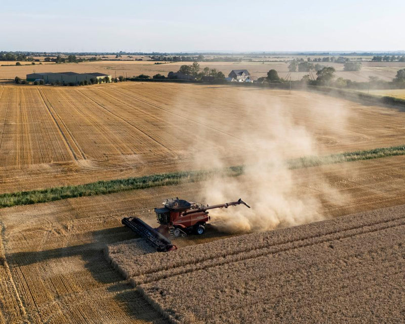 Britain Food Shortages Loom as Drought Hits Farmers, Warns NFU