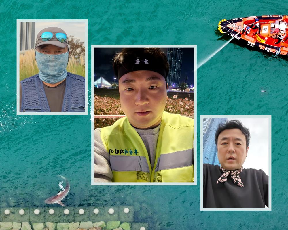 Busan Shark Guardians: YouTubers Protect Endangered Shark