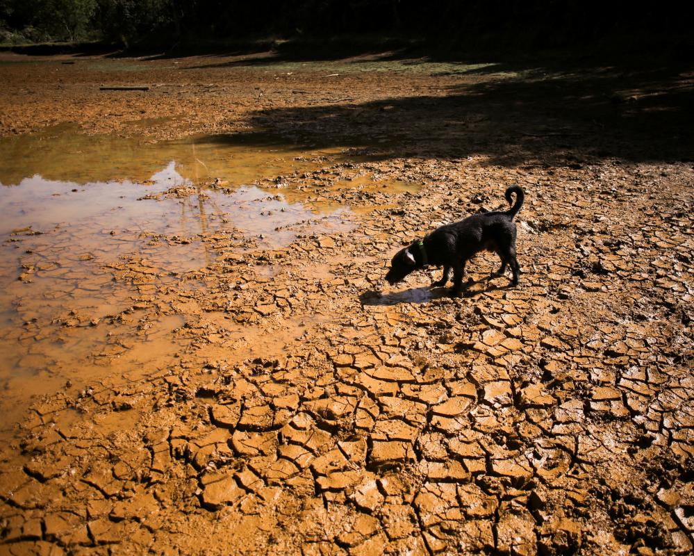 El Niño: Causes, Global Impacts, and Risk Reduction