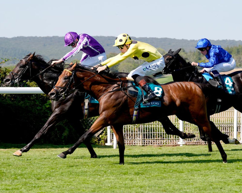 Goodwood Great Escape: Billy the Kid and Bow Echo Win Sussex