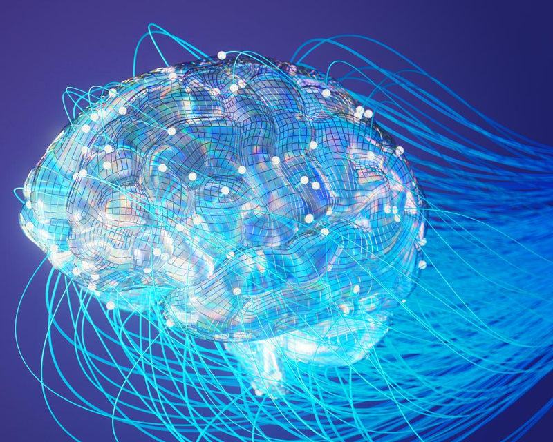 AI Dependence and Brain Health: The Hidden Cognitive Risks